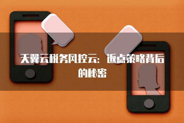 天翼云税务风控云:返点策略背后的秘密