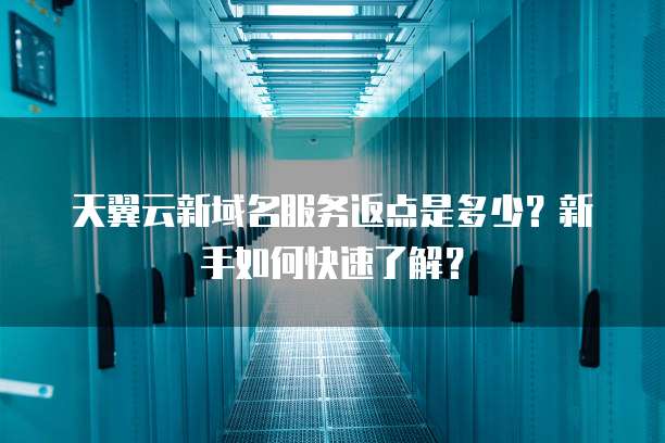 天翼云新域名服务返点是多少?新手如何快速了解?