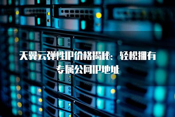 天翼云弹性IP价格揭秘：轻松拥有专属公网IP地址