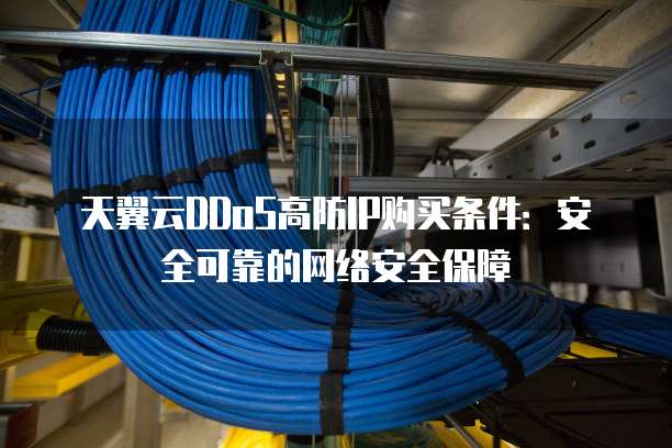 天翼云DDoS高防IP购买条件:安全可靠的网络安全保障