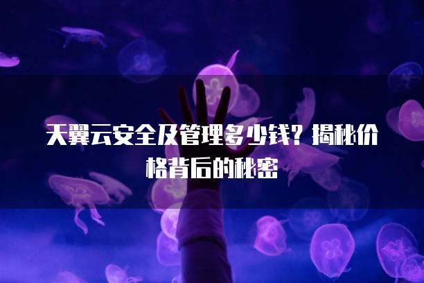 天翼云安全及管理多少钱？揭秘价格背后的秘密