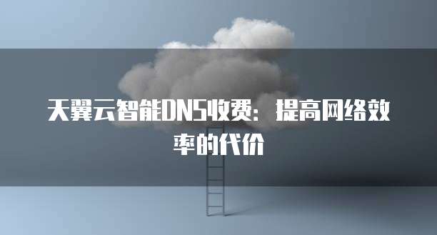 天翼云智能DNS收费:提高网络效率的代价