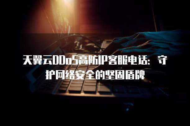天翼云DDoS高防IP客服电话:守护网络安全的坚固盾牌