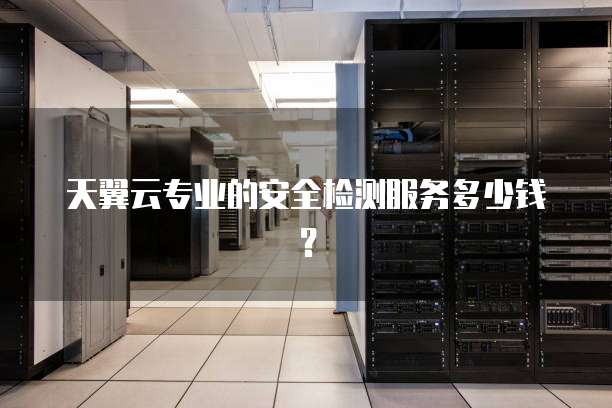 天翼云专业的安全检测服务多少钱？