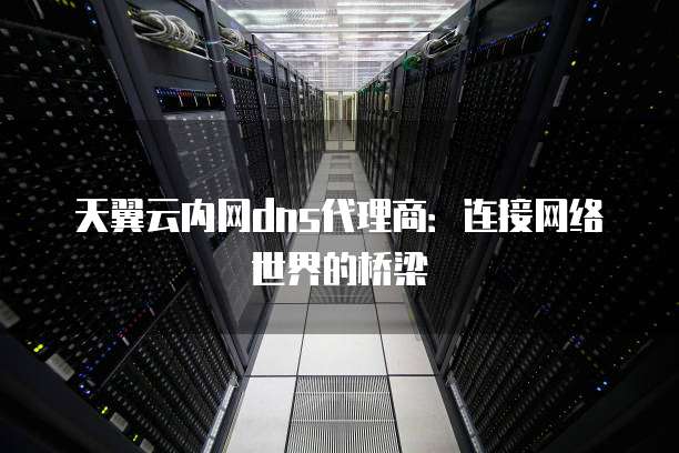 天翼云内网dns代理商:连接网络世界的桥梁