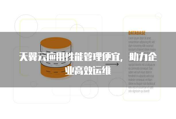 天翼云应用性能管理便宜,助力企业高效运维