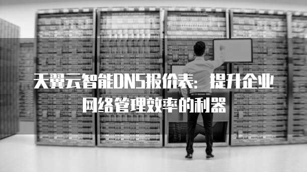 天翼云智能DNS报价表:提升企业网络管理效率的利器