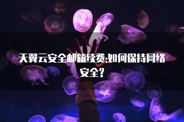 天翼云安全邮箱续费:如何保持网络安全?