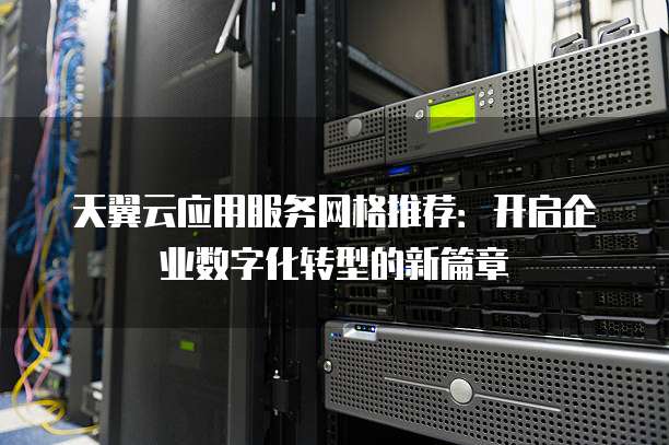 天翼云应用服务网格推荐:开启企业数字化转型的新篇章