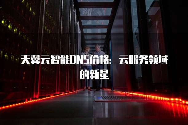 天翼云智能DNS价格：云服务领域的新星