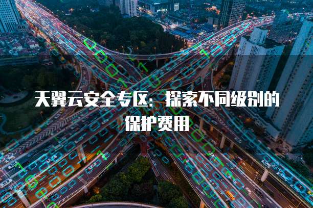 天翼云安全专区:探索不同级别的保护费用