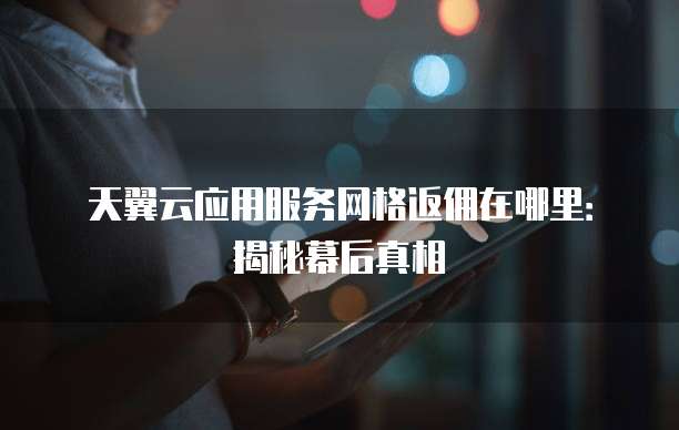 天翼云应用服务网格返佣在哪里:揭秘幕后真相