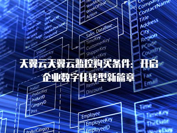 天翼云天翼云监控购买条件:开启企业数字化转型新篇章