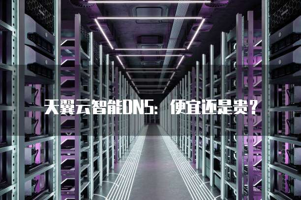 天翼云智能DNS:便宜还是贵?