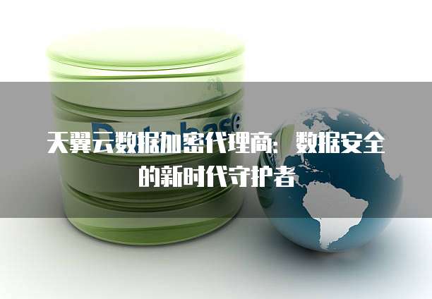 天翼云数据加密代理商：数据安全的新时代守护者