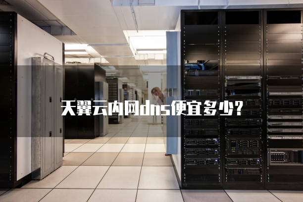 天翼云内网dns便宜多少?