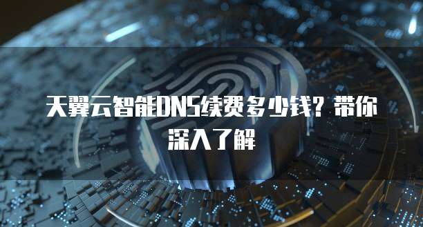 天翼云智能DNS续费多少钱?带你深入了解