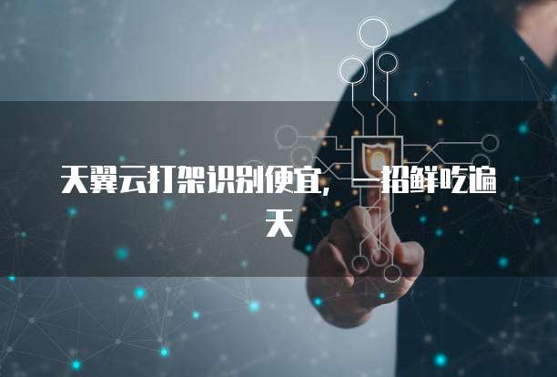天翼云打架识别便宜，一招鲜吃遍天