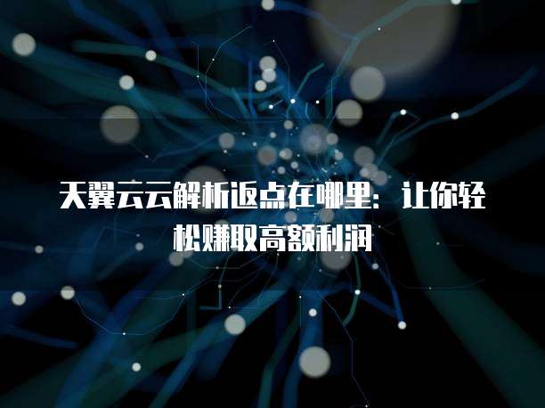 天翼云云解析返点在哪里：让你轻松赚取高额利润