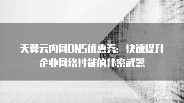 天翼云内网DNS优惠券:快速提升企业网络性能的秘密武器