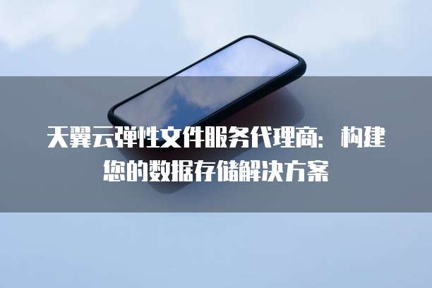 天翼云弹性文件服务代理商:构建您的数据存储解决方案