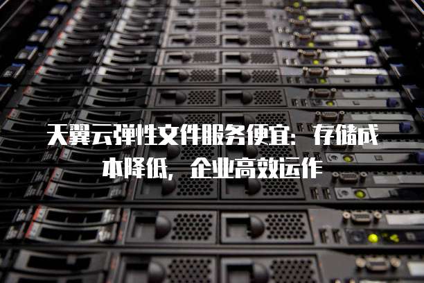 天翼云弹性文件服务便宜:存储成本降低,企业高效运作