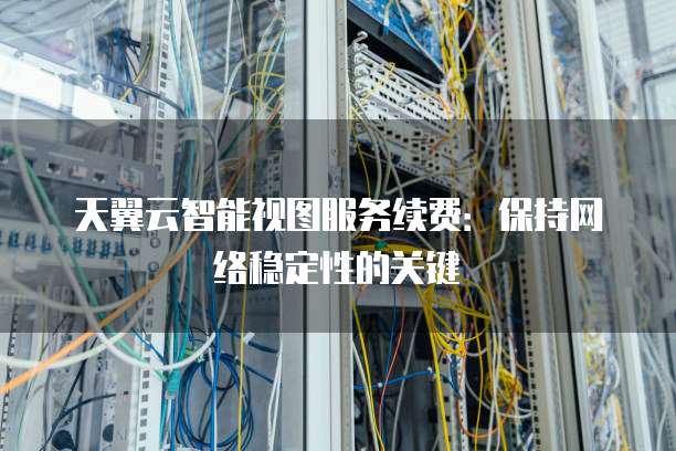天翼云智能视图服务续费:保持网络稳定性的关键