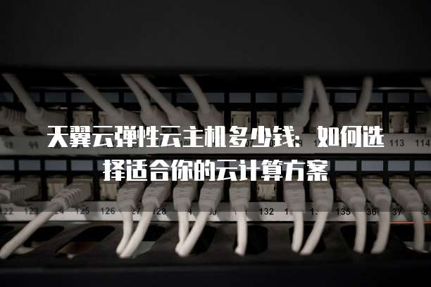 天翼云弹性云主机多少钱:如何选择适合你的云计算方案