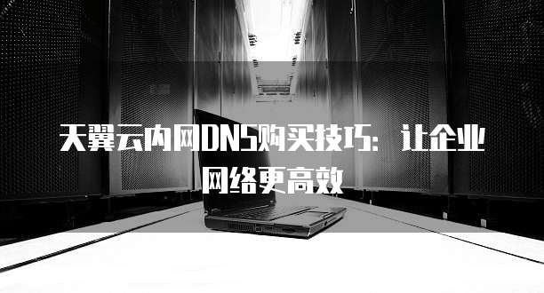 天翼云内网DNS购买技巧:让企业网络更高效