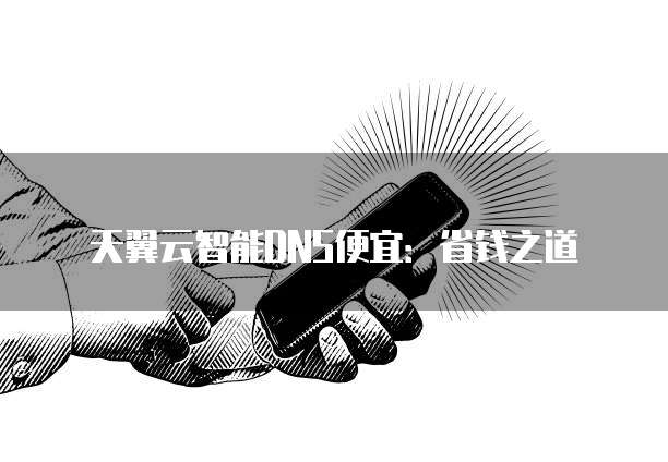 天翼云智能DNS便宜:省钱之道