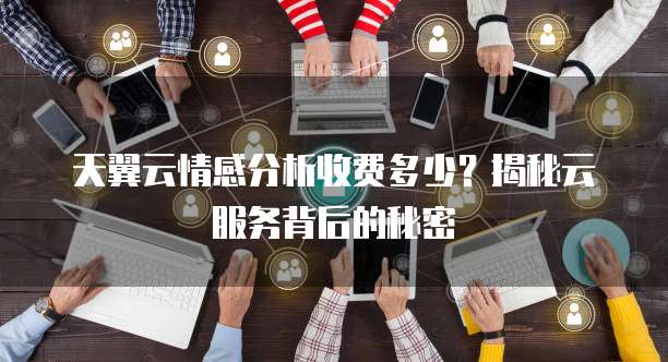 天翼云情感分析收费多少?揭秘云服务背后的秘密