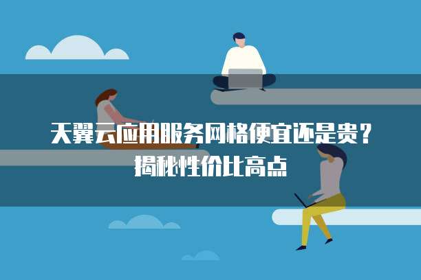 天翼云应用服务网格便宜还是贵?揭秘性价比高点