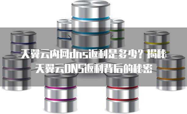 天翼云内网dns返利是多少?揭秘天翼云DNS返利背后的秘密