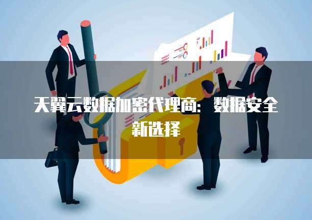 天翼云数据加密代理商：数据安全新选择