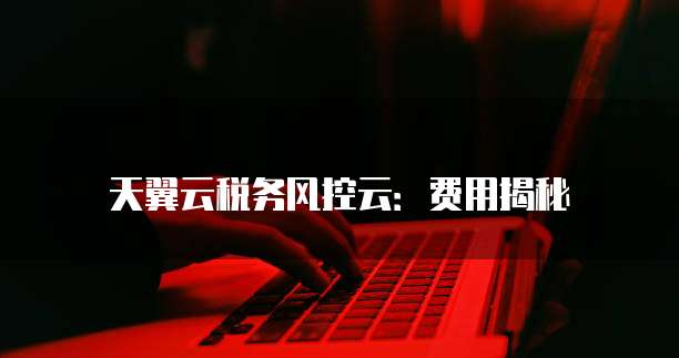 天翼云税务风控云:费用揭秘