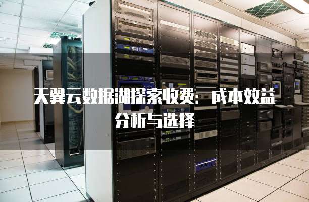 天翼云数据湖探索收费:成本效益分析与选择