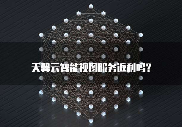 天翼云智能视图服务返利吗？