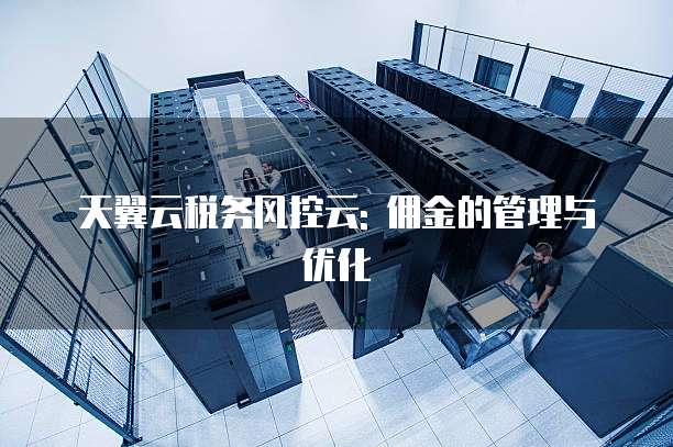 天翼云税务风控云: 佣金的管理与优化