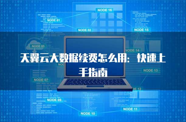 天翼云大数据续费怎么用:快速上手指南