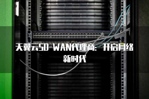 天翼云SD-WAN代理商:开启网络新时代