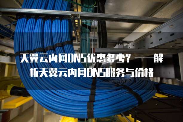 天翼云内网DNS优惠多少？&mdash;&mdash;解析天翼云内网DNS服务与价格