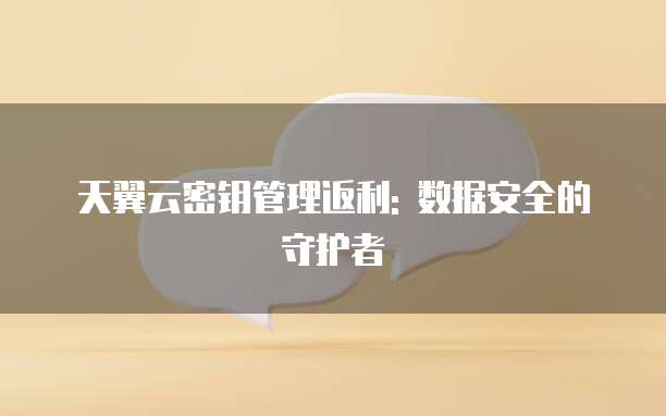 天翼云密钥管理返利: 数据安全的守护者