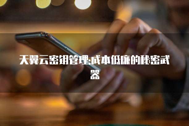 天翼云密钥管理:成本低廉的秘密武器