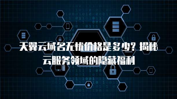 天翼云域名无忧价格是多少?揭秘云服务领域的隐藏福利