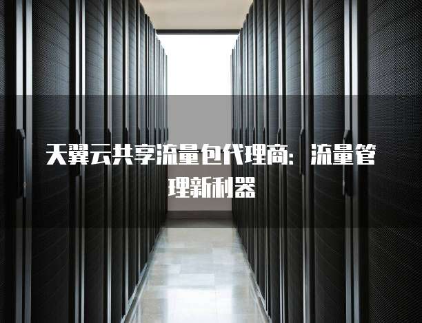 天翼云共享流量包代理商:流量管理新利器
