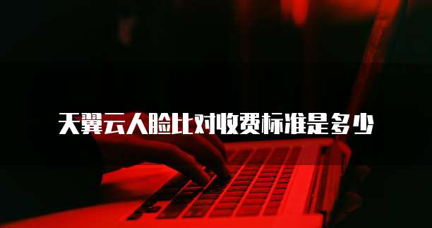 天翼云人脸比对收费标准是多少