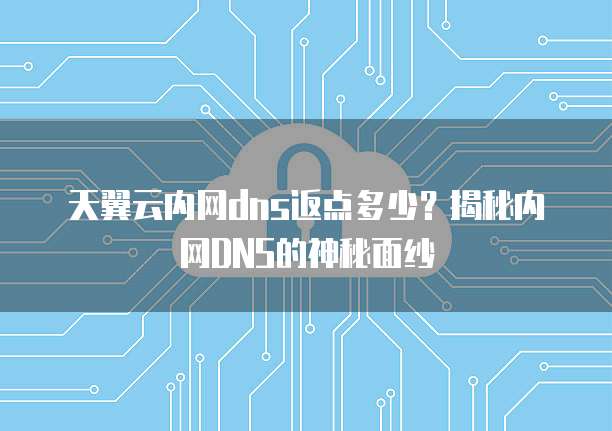 天翼云内网dns返点多少?揭秘内网DNS的神秘面纱