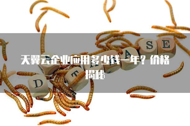 天翼云企业应用多少钱一年?价格揭秘