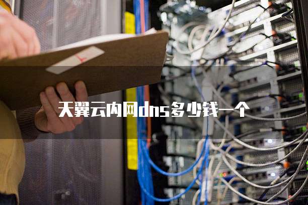 天翼云内网dns多少钱一个