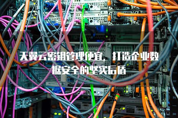 天翼云密钥管理便宜,打造企业数据安全的坚实后盾